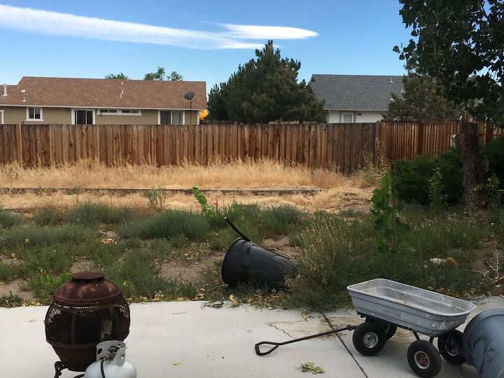 q help worst backyard ever, gardening, landscape, lawn care, outdoor living, Worst Backyard Ever