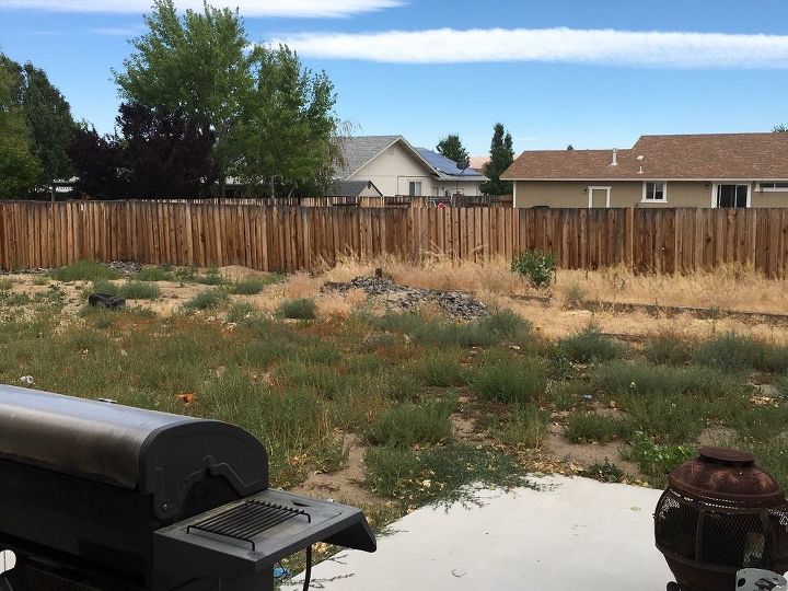q help worst backyard ever, gardening, landscape, lawn care, outdoor living, Worst Backyard Ever