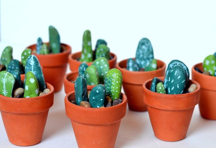 centros de mesa de cactus de roca pintados