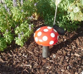 mushrooms, crafts, gardening