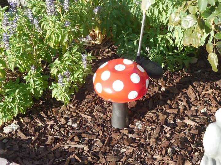 mushrooms, crafts, gardening