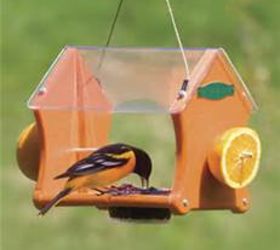 q the jelly in my oriole feeders is covered by bumble bees and wasps , home maintenance repairs, pest control