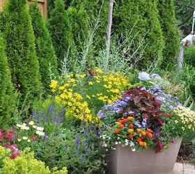 the summer s prettiest container plantings, container gardening, flowers, gardening