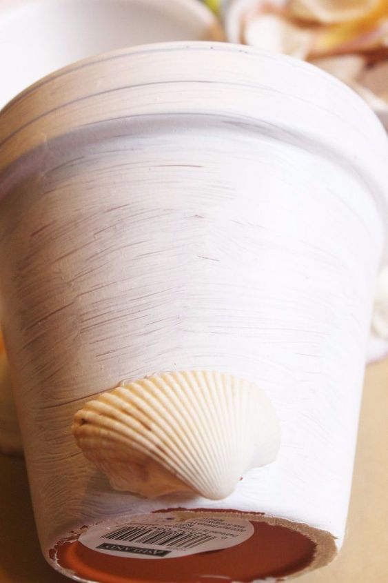 diy shell covered terra cotta pot, crafts