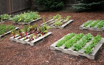 DIY Wooden Pallet Vegetable Garden Plans