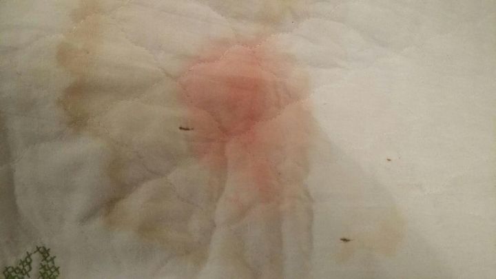 q fade stain on a baby quilt, cleaning tips, fabric cleaning
