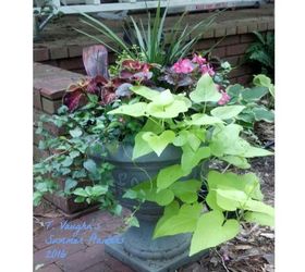 2016 summer planters, container gardening, gardening