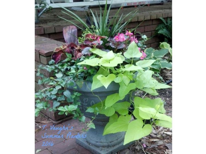 2016 summer planters, container gardening, gardening