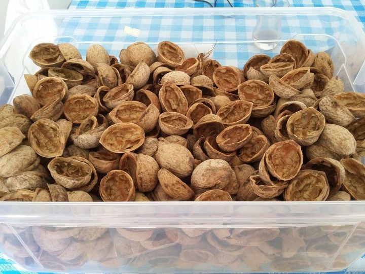 q walnuts shell craft ideas , crafts, repurpose household items, repurposing upcycling, walnut shells