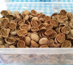 Walnuts shell craft ideas?