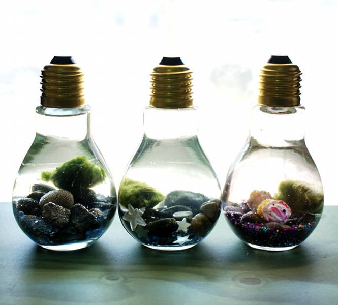 marimo moss ball diy light bulb aquarium, crafts, how to, repurposing upcycling