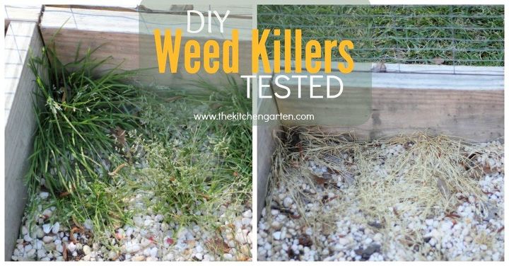 diy weed killers tested , gardening, gardening pests, go green, how to