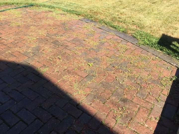 q weeds between interlocking brick patio, concrete masonry, gardening, pest control