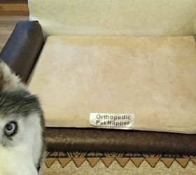 build a dog sofa, pets, pets animals, reupholster