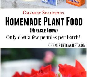 Easy Homemade Plant Food (Miracle Grow)