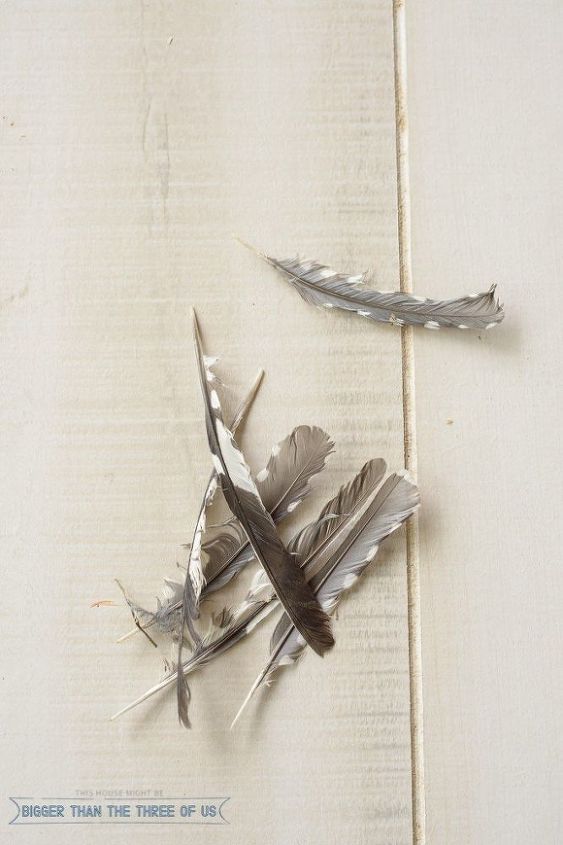 simple diy feather art, crafts, wall decor