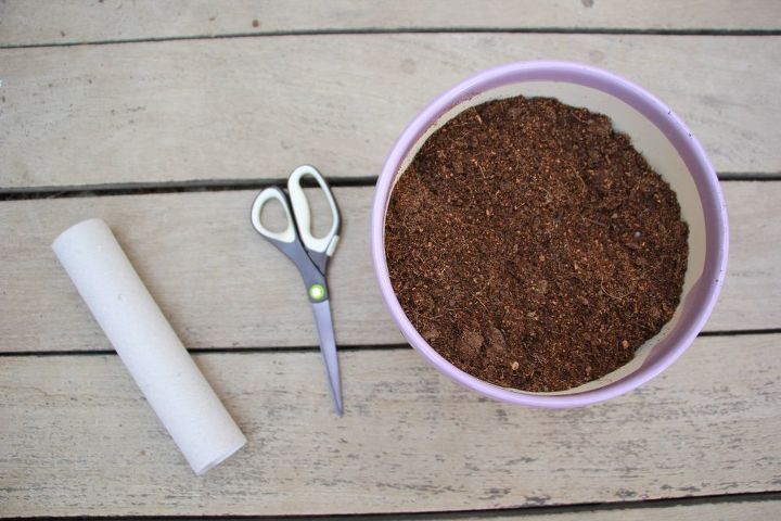 turn paper towel rolls into cheap biodegradable seed starter pots