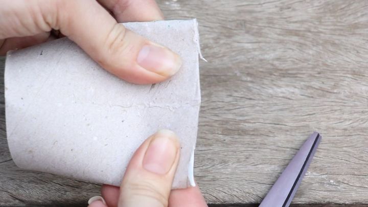 transforme rolos de papel toalha em vasos de sementes baratos e biodegradveis