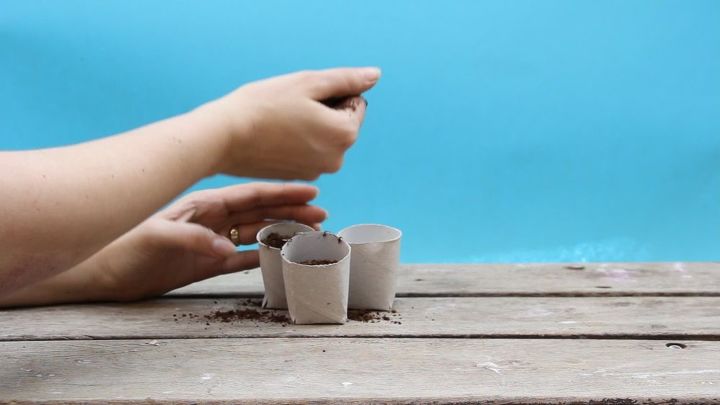 turn paper towel rolls into cheap biodegradable seed starter pots