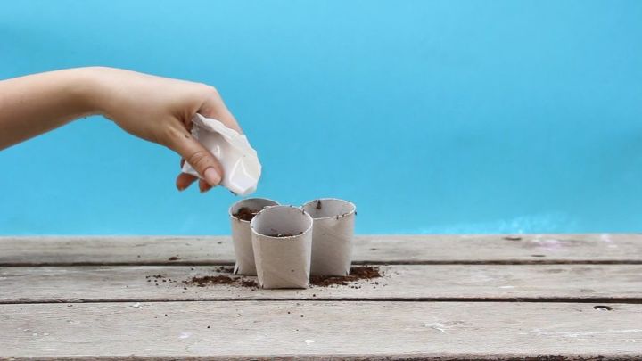 turn paper towel rolls into cheap biodegradable seed starter pots