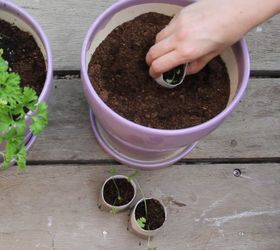 turn paper towel rolls into cheap biodegradable seed starter pots