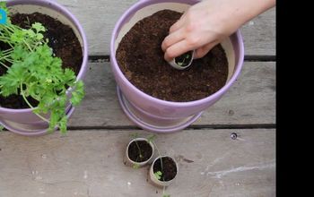 Turn Paper Towel Rolls Into Cheap, Biodegradable, Seed Starter Pots