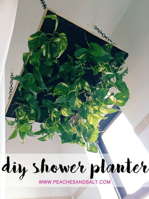 17 cosas que no sabas que podas hacer con malla de gallinero, Cuelga plantas sobre tu ducha