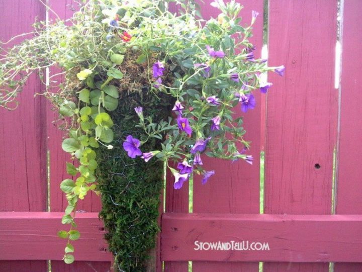 s 16 things you didn t know you could do with chickenwire, Create a moss covered planter