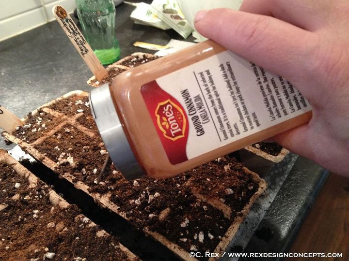 s 11 unexpected ways to use spices in your home, Splash cinnamon on seeds to start em strong