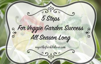  5 passos para o sucesso do jardim ao longo da temporada