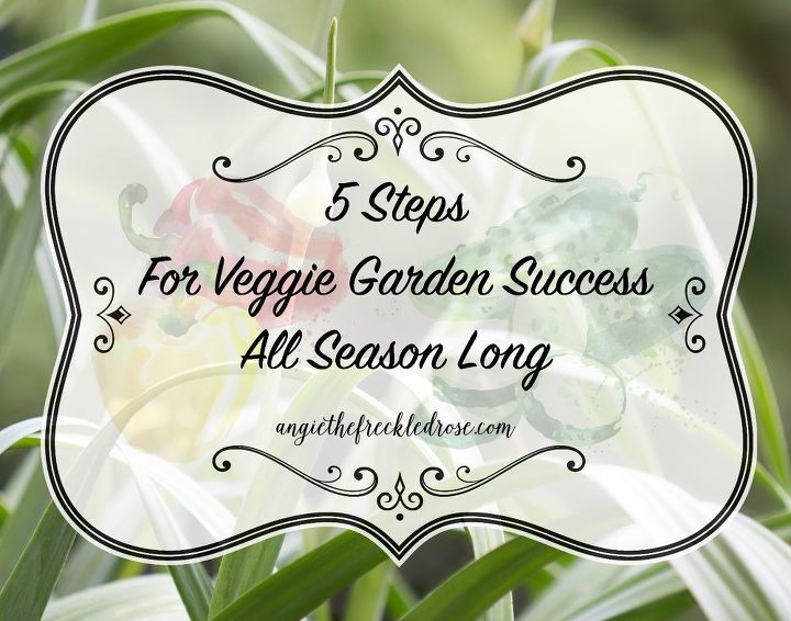 5 passos para o sucesso do jardim ao longo da temporada