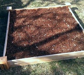 fastest way to plant a raised garden bed, gardening, raised garden beds, Gently pat the soil to cover up your seeds
