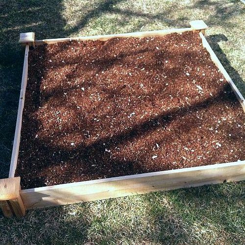 a maneira mais rpida de plantar um canteiro elevado, Bata suavemente no solo para cobrir as sementes