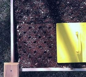 fastest way to plant a raised garden bed, gardening, raised garden beds, Garden Stamp is one square foot so you can stamp directly or
