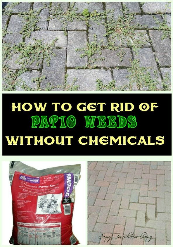 how to get rid of patio weeds without chemicals, gardening, gardening pests, how to
