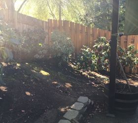 q bark alternative , gardening, landscape, outdoor living, Back corner of yard