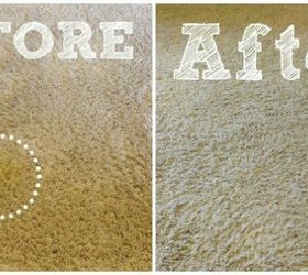 17 ways you never thought of using baking soda in your home, Get rid of pet stains on your carpet