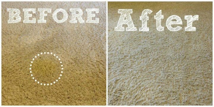 17 ways you never thought of using baking soda in your home, Get rid of pet stains on your carpet