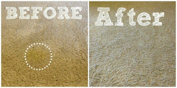 17 maneras en las que nunca pensaste en usar el bicarbonato de sodio en tu casa, Deshazte de las manchas de mascotas en tu alfombra