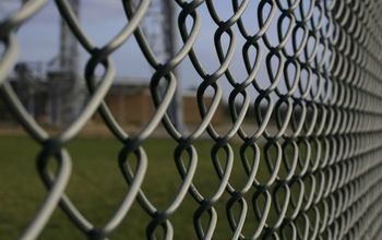 Beautify and Hide Your Chain Link Fence