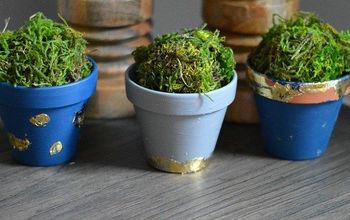 Easy Gold Leaf Plant Pots