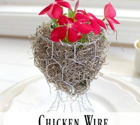 chicken wire planter guest gift idea, container gardening, crafts, gardening, how to