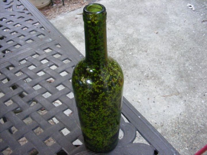 alimentador de pjaros de botellas de vino con paracord