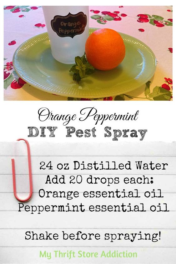 diy orange peppermint pest spray, cleaning tips, go green, how to, pest control
