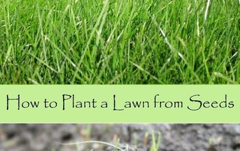  Como plantar um gramado a partir de sementes