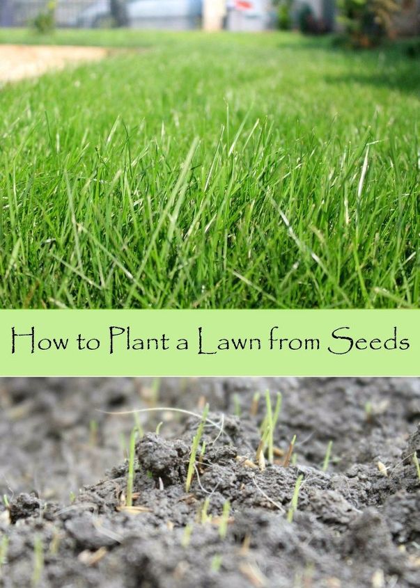 how to plant a lawn from seeds, gardening, how to, lawn care