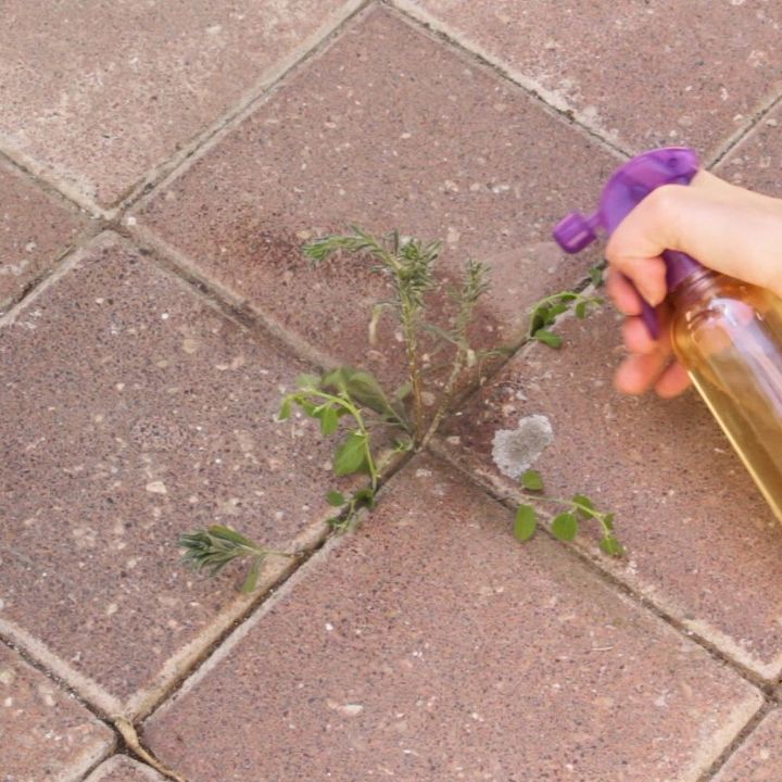 natural weed killer