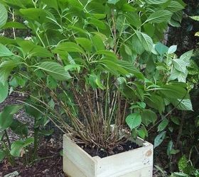 planter box built from dog ear pickets, container gardening, gardening, how to, woodworking projects