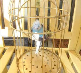 birdie in cage, crafts, how to, painting