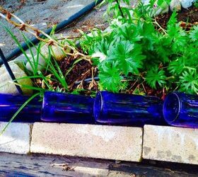 beer bottles in the garden, gardening, how to, landscape, repurposing upcycling